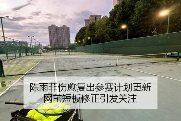 陈雨菲伤愈复出参赛计划更新 网前短板修正引发关注